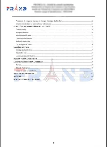 نمونه پروژه ویزای تلنت فرانسه بخش 4